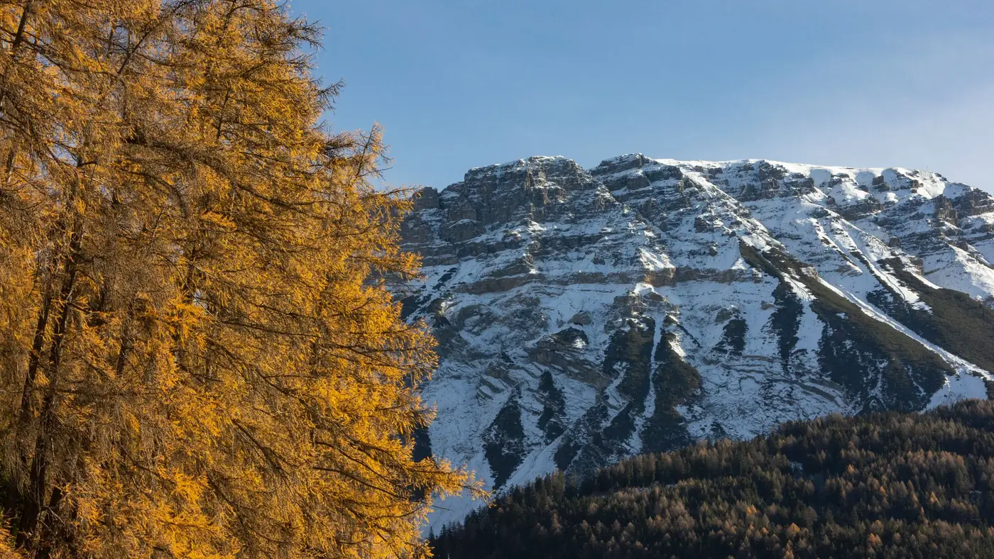 Besneeuwde bergtoppen boven bomen in herfstkleuren