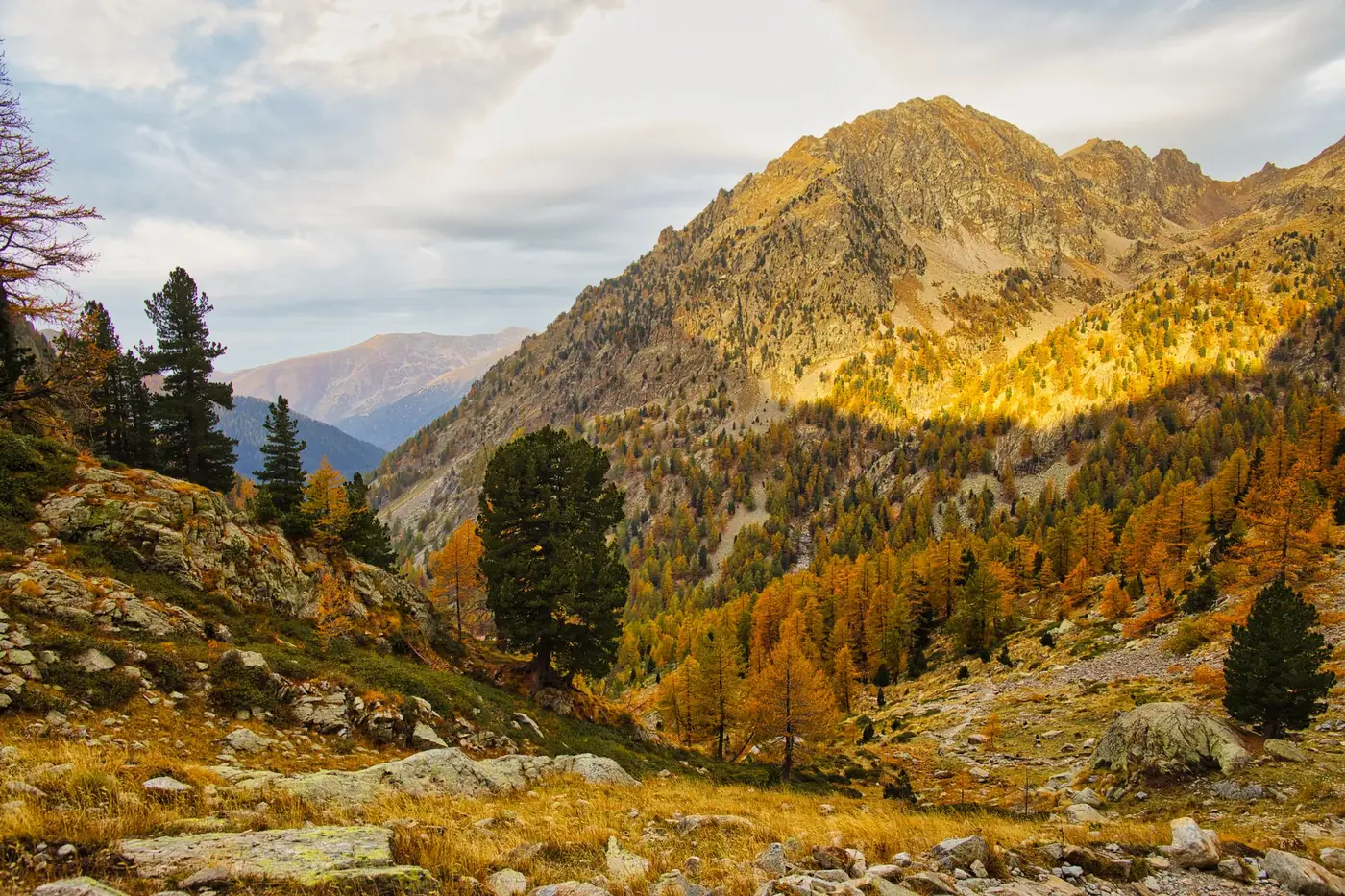 Wandelpad tussen bergweiden en bos met herfstkleuren in de Alpen