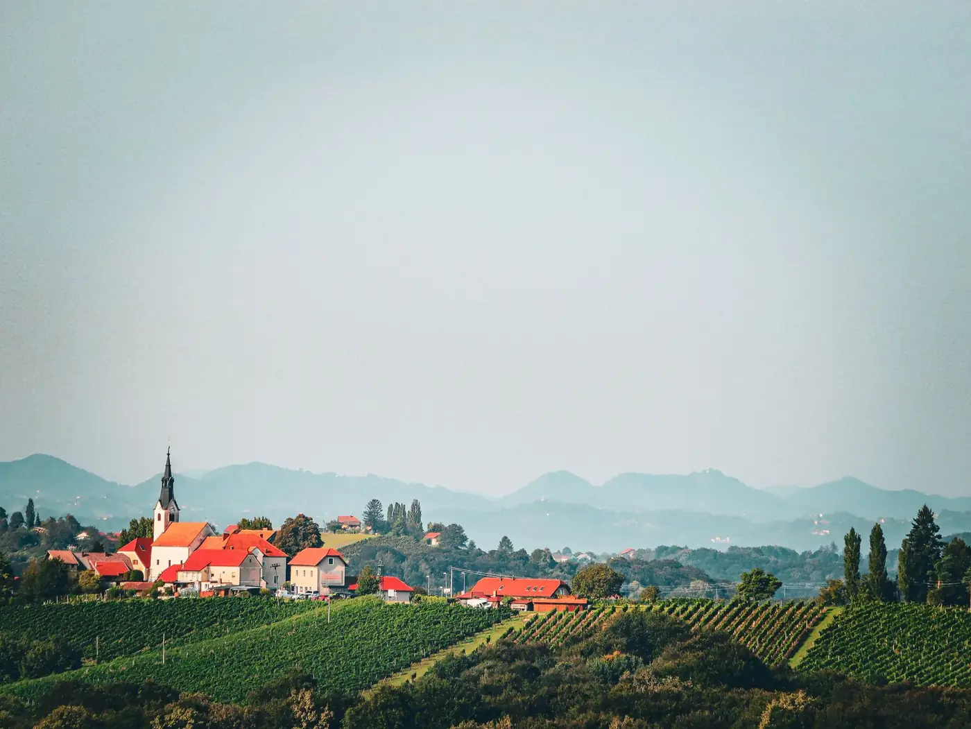 Picturesque view of a village and vineyard set against rolling hills and mountains.