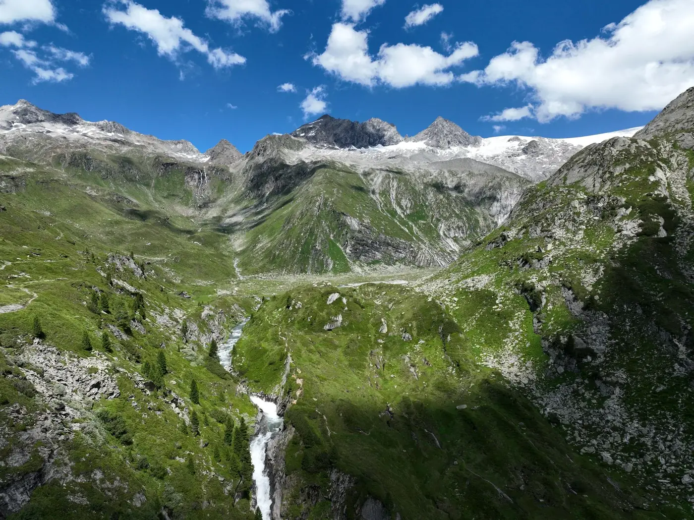 A breathtaking view of the lush green Alps and snowy peaks, ideal for nature and travel themes.