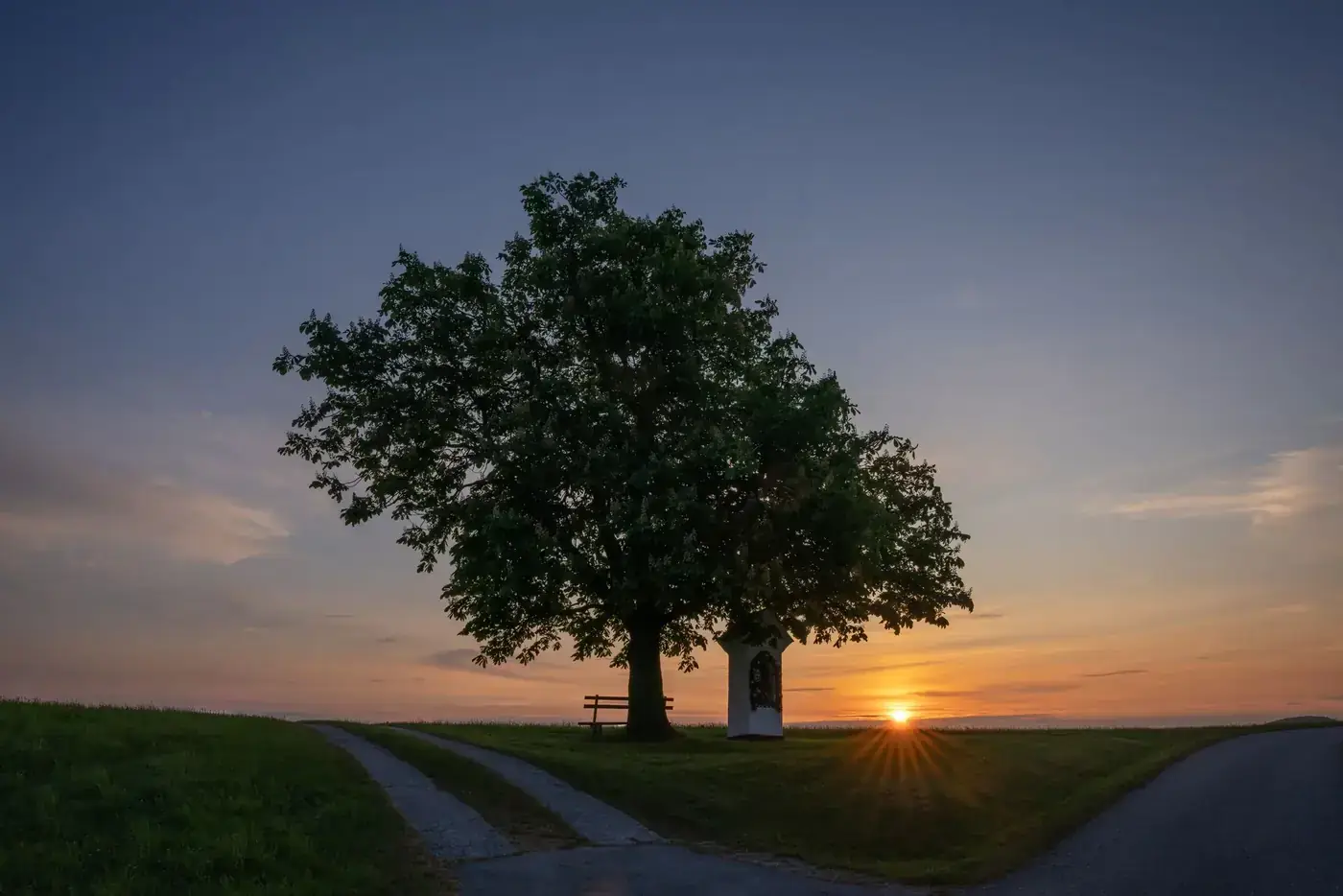 Serene sunset scene at Hochkogel, Austria, with a tree silhouette framing the setting sun.