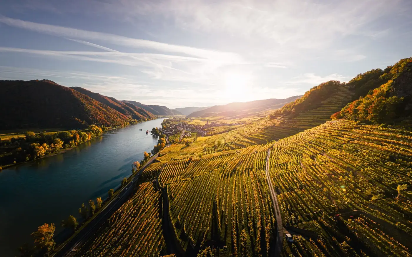 Aerial view of Wachau vineyards at sunset in Weißenkirchen, Austria during autumn.