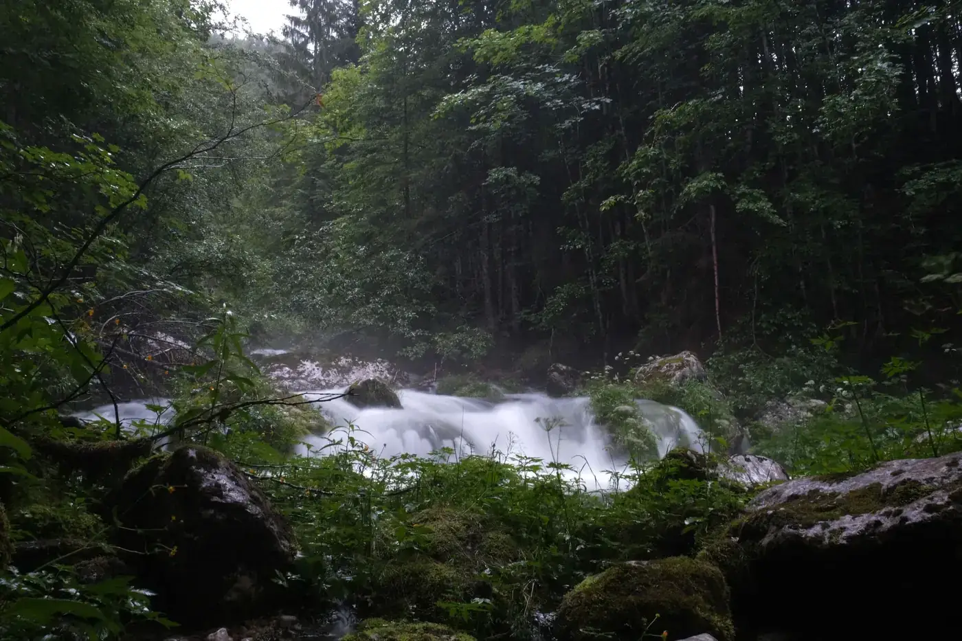 A serene view of a lush forest with a flowing stream in Styria, Austria, showcasing nature's tranquility.