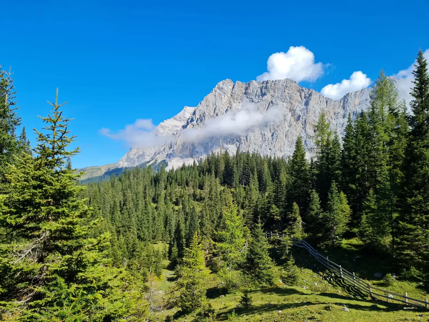 Breathtaking view of the Wetterstein Mountains surrounded by lush forest in Styria, Austria.