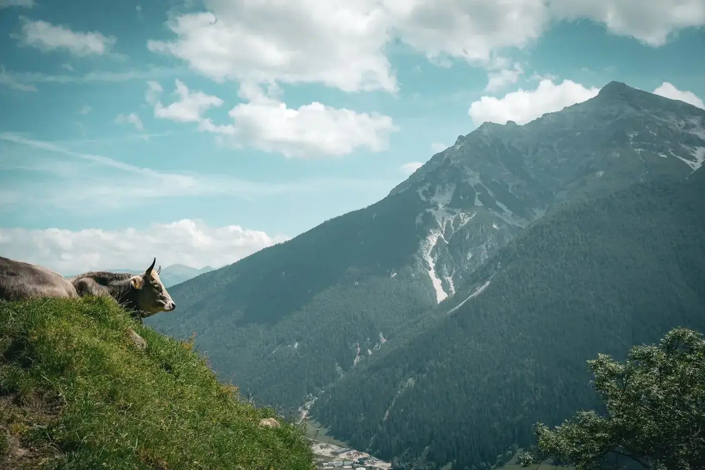 Neustift