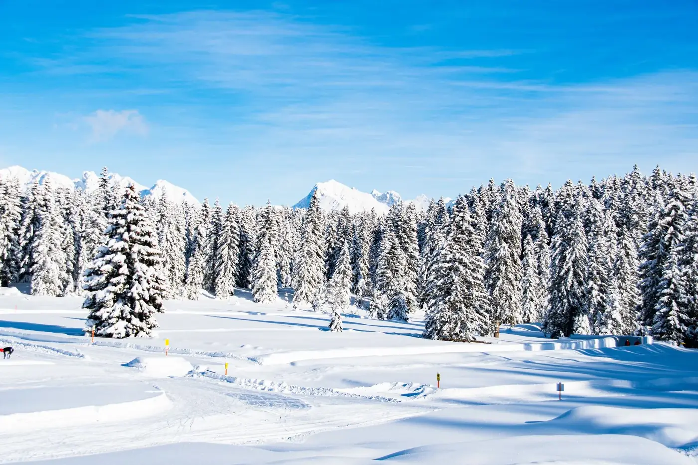 A breathtaking view of a snow-covered forest in Seefeld, Tirol, showcasing winter's beauty.