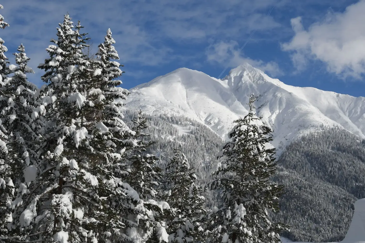 Breathtaking winter landscape of snow-covered pine trees and mountains in Seefeld, Austria.